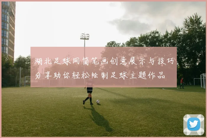 湖北足球网简笔画创意展示与技巧分享助你轻松绘制足球主题作品