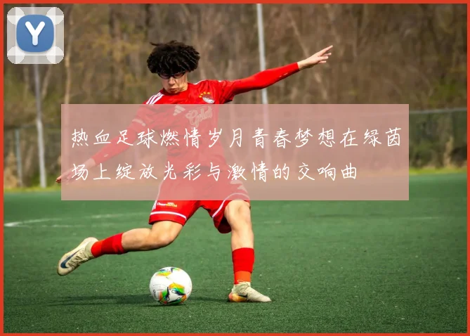 热血足球燃情岁月青春梦想在绿茵场上绽放光彩与激情的交响曲