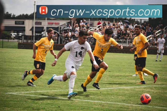 多媒体互动体验